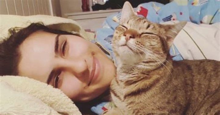 Cats Can Get Attached to Their Humans Even More Than Dogs, and It’s Science That Proves It