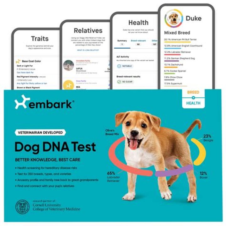 Do Dog DNA Tests Tell Age? Uncovering The Truth Behind Canine Genetics