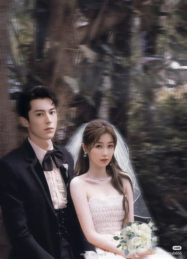 Does Dylan Wang have a Girlfriend? Are Dylan Wang And Shen Yue Dating? Is Dylan Wang related to Darren Wang? Know more about His Personal Life with Quick Facts!