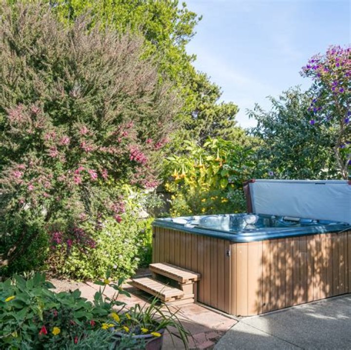 Keep Your Dog Away From Hot Tubs This Summer, Warn Vets