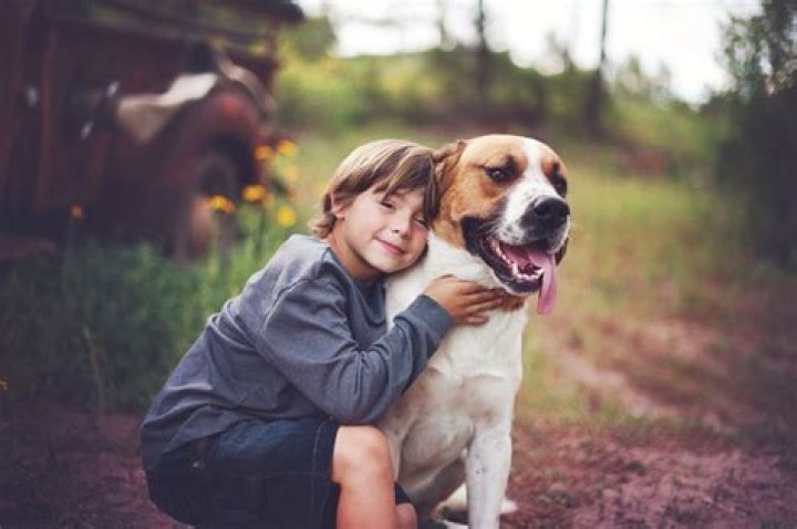 New Study Shows Having A Dog As A Child Makes You Less Likely To Suffer From Anxiety