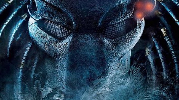 The Next Predator May Feature Female Predators