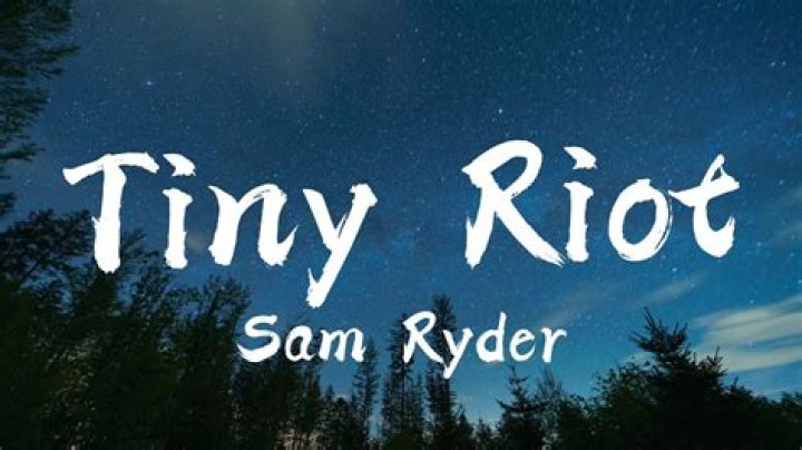 Tiny Riot [Explicit] | Sam Ryder Lyrics, Meaning & Videos