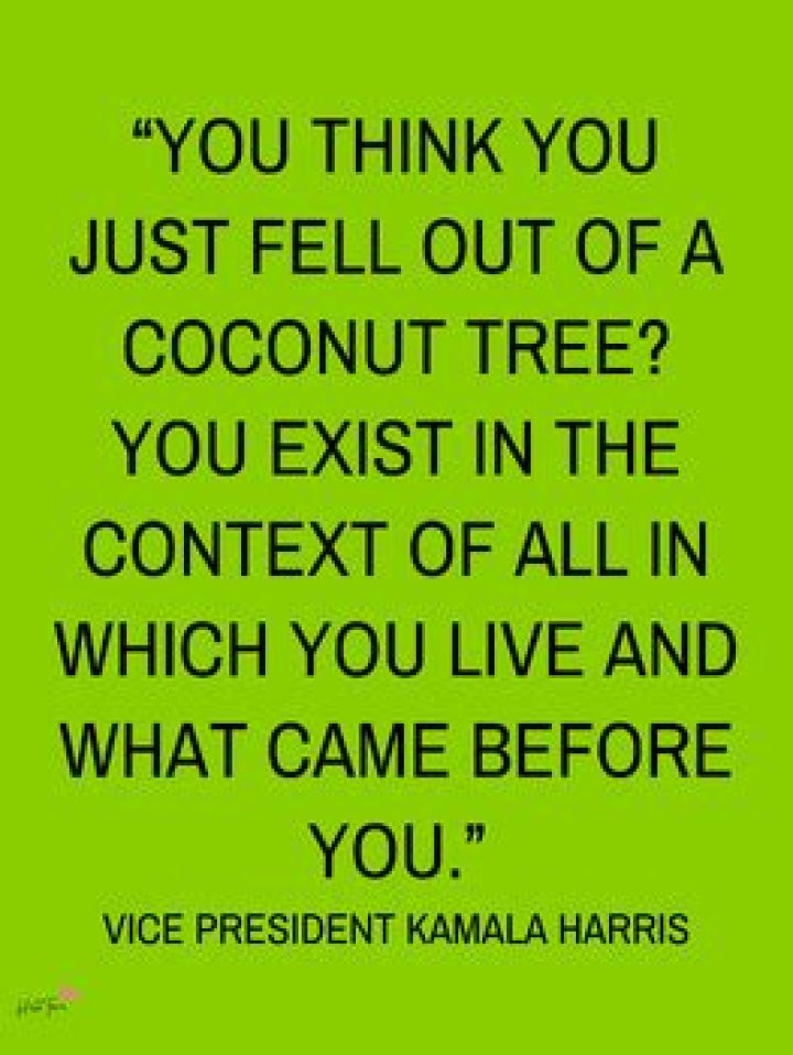 You Think You Just Fell Out Of A Coconut Tree: Understanding The Phrase And Its Implications